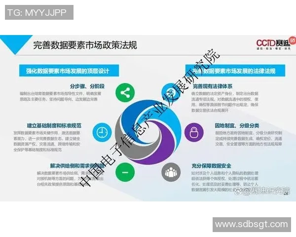 杭州足球队防反战术创新探讨与未来发展展望